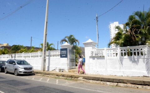 Imagem do post Prefeitura de Salvador realiza ação com entrega de flores nos cemitérios públicos no Dia de Finados