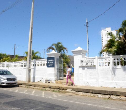 Imagem do post Prefeitura de Salvador realiza ação com entrega de flores nos cemitérios públicos no Dia de Finados