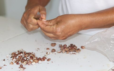 Imagem do post Cesol da Bacia do Jacuípe marca presença na feira da Cúpula do G20