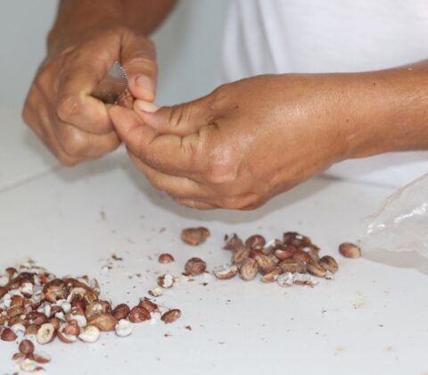 Imagem do post Cesol da Bacia do Jacuípe marca presença na feira da Cúpula do G20
