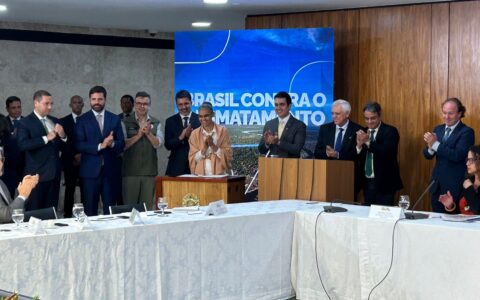 Imagem do post Bahia é líder nacional em redução de desmatamento, com queda de 63,3% em 2024