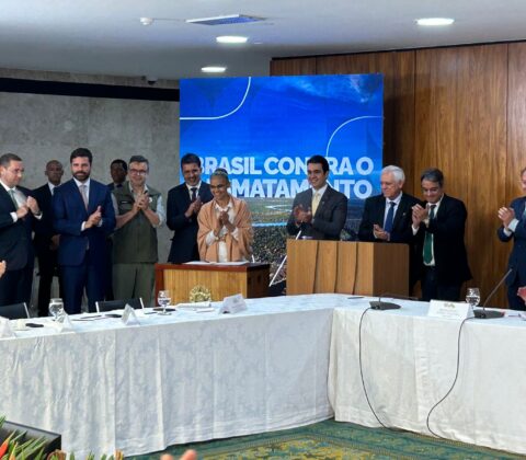 Imagem do post Bahia é líder nacional em redução de desmatamento, com queda de 63,3% em 2024