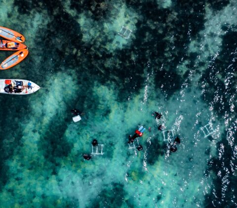 Imagem do post VII Fórum de Sustentabilidade da Baía de Todos os Santos acontece nesta sexta-feira (08), na ACB, no Comércio