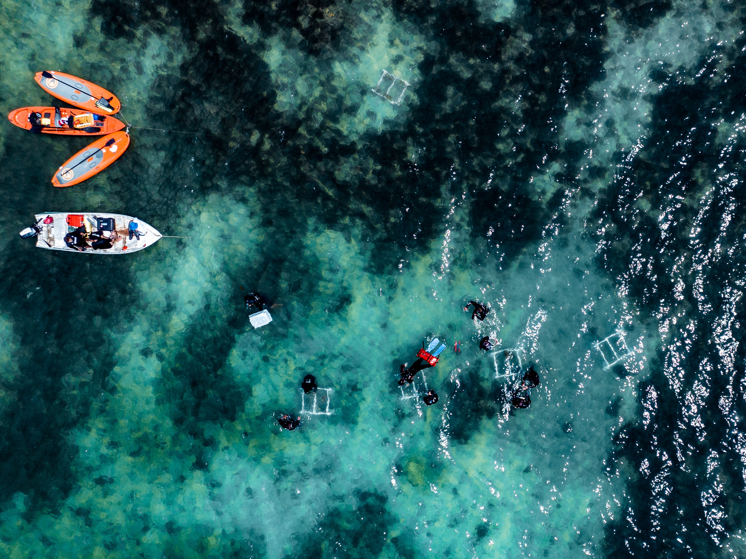 VII Fórum de Sustentabilidade da Baía de Todos os Santos acontece nesta sexta-feira (08), na ACB, no Comércio