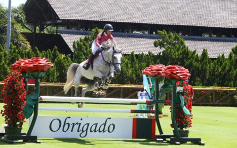 Imagem do post Competição de hipismo na Bahia premia os melhores do Norte-Nordeste