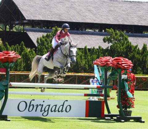 Imagem do post Competição de hipismo na Bahia premia os melhores do Norte-Nordeste