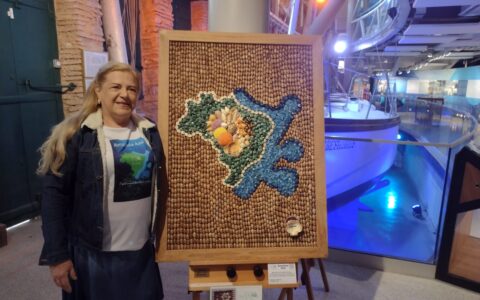 Imagem do post Artista das conchas expõe obra no Museu do Mar