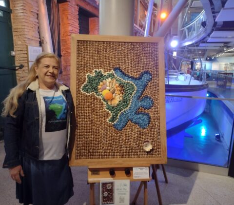 Imagem do post Artista das conchas expõe obra no Museu do Mar