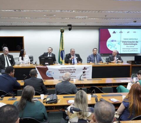 Imagem do post CRO Bahia representa conselhos de todo o Brasil em reunião na Câmara dos Deputados