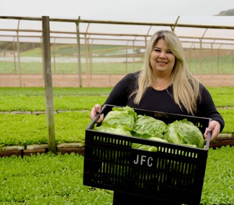 Imagem do post Do campo à mesa: McDonald’s revela origem dos seus alimentos em nova websérie; confira