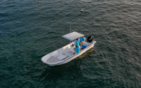 Imagem do post Torneio de Pesca começa nessa sexta (29) em Canavieiras com recorde de inscritos e impacto social