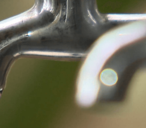 Imagem do post Moradores de Castelo Branco sofrem com falta de água