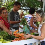 Camaçari entrega 150 novas barracas para feiras da agricultura familiar