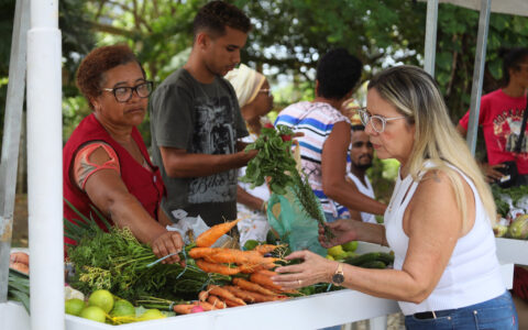 Imagem do post Governo da Bahia abre 480 vagas para impulsionar agricultura familiar; saiba como se inscrever