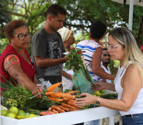 Imagem do post Governo da Bahia abre 480 vagas para impulsionar agricultura familiar; saiba como se inscrever