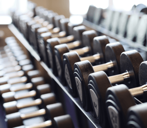 Imagem do post ‘Projeto verão’: saiba como evitar prejuízos aos joelhos ao praticar exercícios físicos