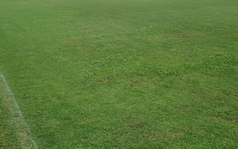 Imagem do post Sudesb promove simpósio sobre novas tecnologias para cultivo e conservação do solo