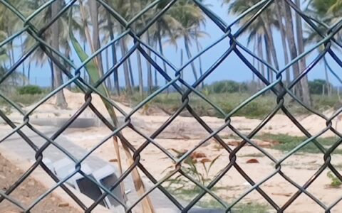 Imagem do post PEC das Praias volta a ser analisada na CCJ do Senado