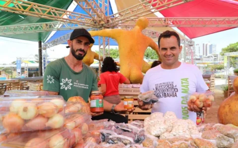 Imagem do post Feira de Produtos Orgânicos traz saúde e sustentabilidade para Salvador