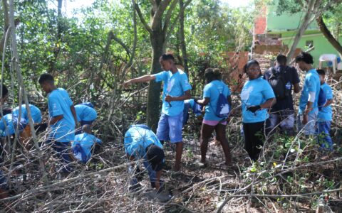 Imagem do post Estudantes de São Francisco do Conde concluem projeto com plantio de 650 mudas de mangue