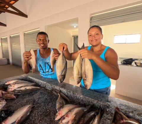 Imagem do post Baixo Sul recebe investimentos para comunidades quilombolas e um novo Mercado do Peixe