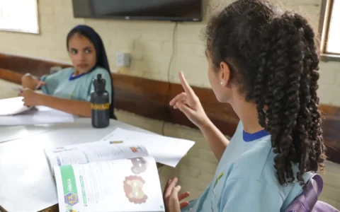 Imagem do post Diretores de escolas têm até este domingo para enviar diagnóstico