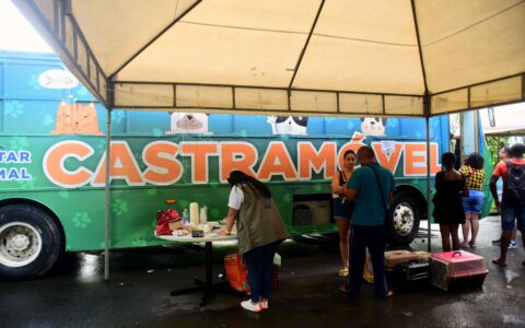 Imagem do post Salvador recebe terceiro Castramóvel e deve ampliar número de castrações gratuitas
