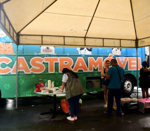 Imagem do post Castramóvel inicia atendimentos na avenida Paralela