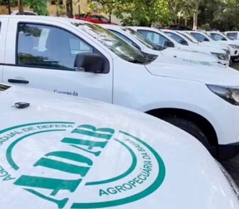 Imagem do post Estão abertas as inscrições para Inscrições para concurso da ADAB; confira detalhes