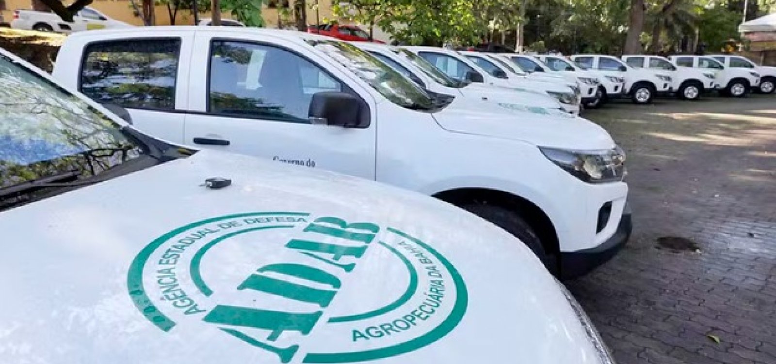 Estão abertas as inscrições para Inscrições para concurso da ADAB; confira detalhes