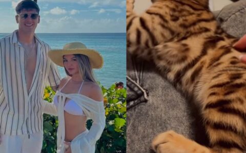 Imagem do post Em meio às negociações para o Bahia, mulher de jogador argentino anuncia venda de gato importado