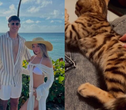 Imagem do post Em meio às negociações para o Bahia, mulher de jogador argentino anuncia venda de gato importado