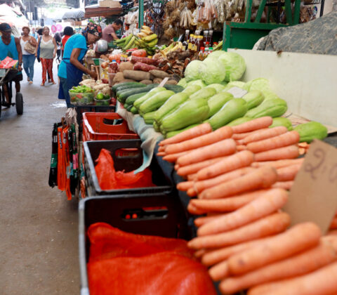 Imagem do post Cesta Básica de Salvador tem queda em junho