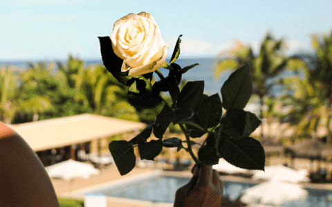 Imagem do post Canto da Sereia antecipa os festejos à Iemanjá no hotel Villa da Praia, em Itapuã