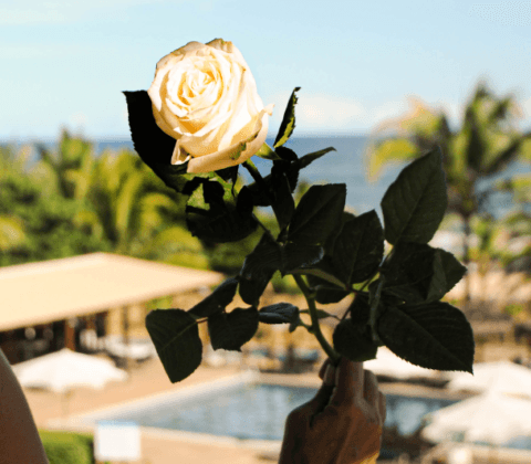 Imagem do post Canto da Sereia antecipa os festejos à Iemanjá no hotel Villa da Praia, em Itapuã