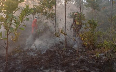 Imagem do post Bombeiros debelam incêndio em Massarandupió