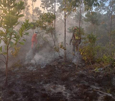 Imagem do post Bombeiros debelam incêndio em Massarandupió