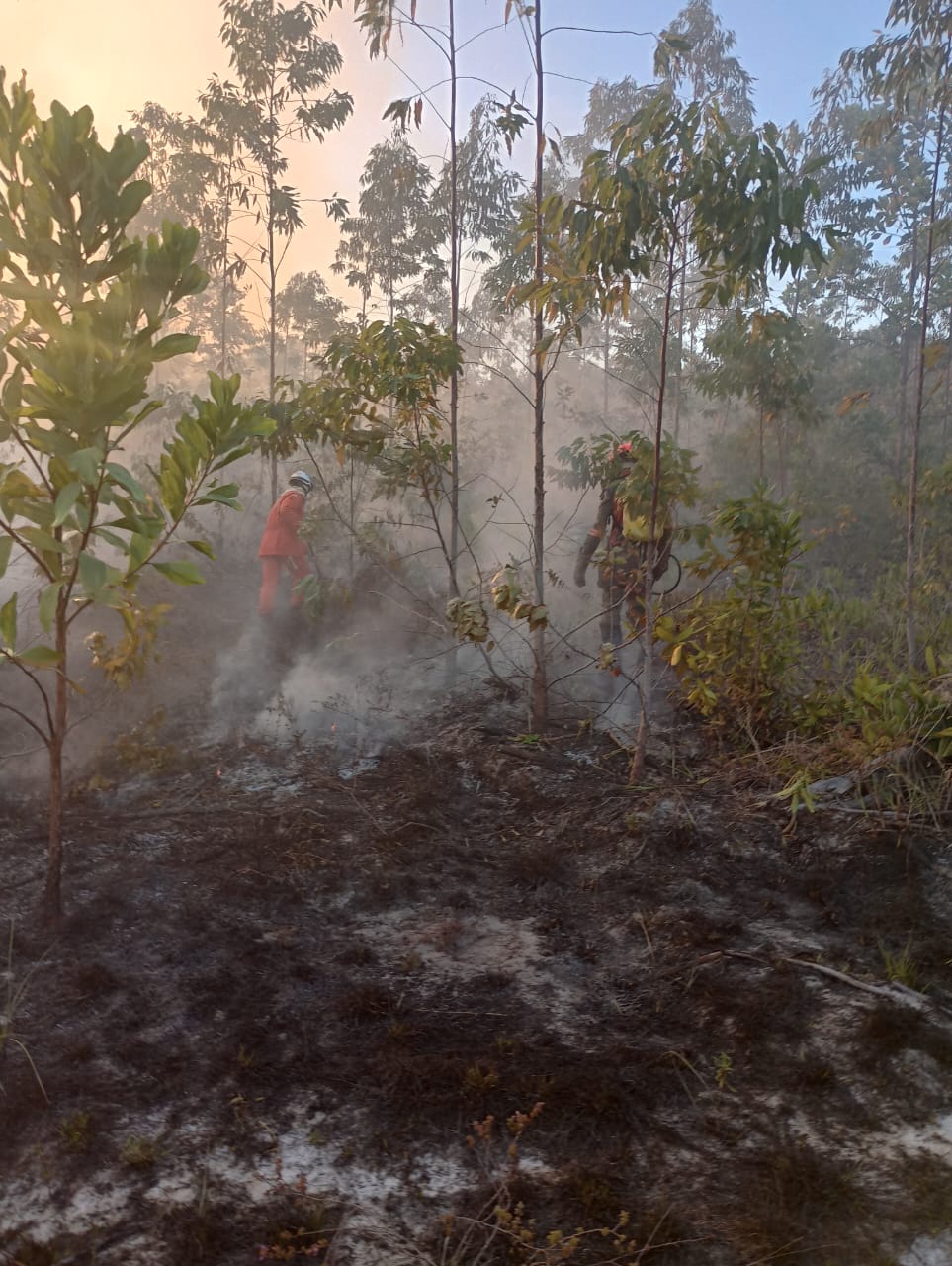 Bombeiros debelam incêndio em Massarandupió