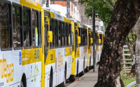 Imagem do post Após reivindicações da população, Prefeitura reativa linhas de ônibus que estavam suspensas