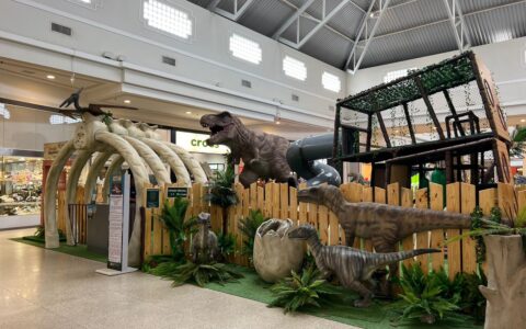Imagem do post Mundo jurássico toma conta de Feira de Santana com a chegada do Dino World