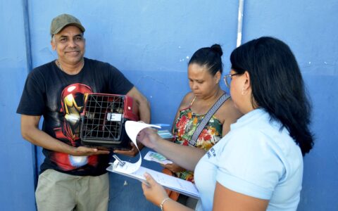 Imagem do post Prefeitura oferece castração e vacinação gratuita para animais em Itapuã