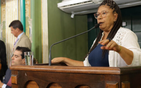 Imagem do post Marta Rodrigues critica gestão ambiental do prefeito 