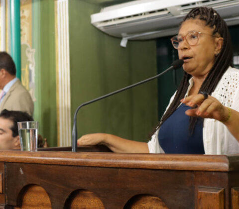 Imagem do post Marta Rodrigues critica gestão ambiental do prefeito 