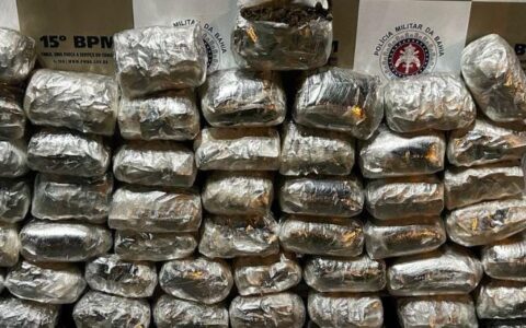 Imagem do post PM apreende 50kg de maconha