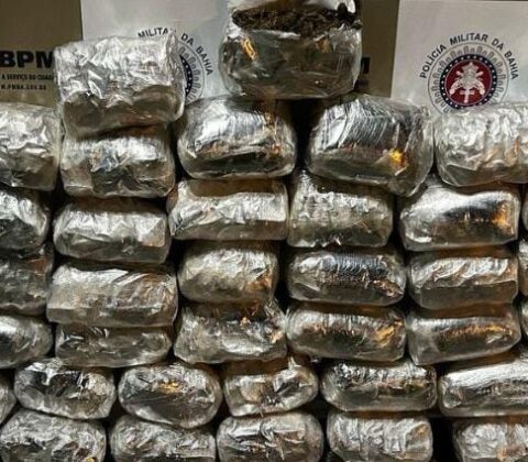 Imagem do post PM apreende 50kg de maconha