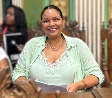 Imagem do post Câmara aprova criação da Frente Parlamentar em Defesa das Mulheres Periféricas