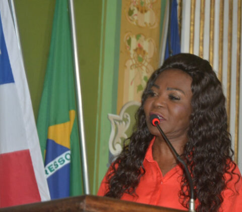 Imagem do post Ireuda Silva destaca conquistas femininas em espaços de decisão