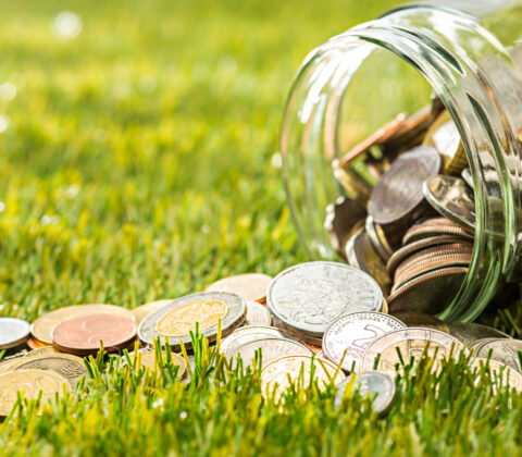 Imagem do post Clube da Série A supera meio bilhão em contratações para 2025; confira em detalhes