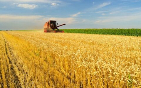 Imagem do post MP libera mais de R$ 4 bilhões em crédito extraordinário para continuidade ao programa de incentivo ao setor