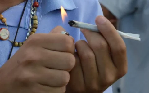 Imagem do post STF confirma decisão sobre porte de maconha para uso pessoal